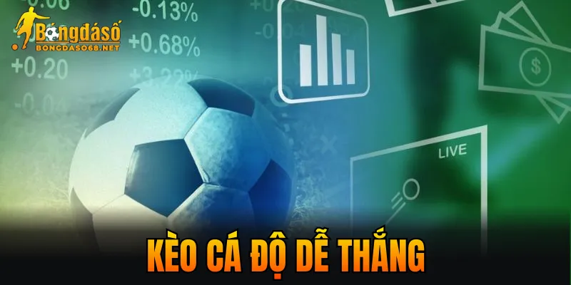 Kèo Cá Độ Dễ Thắng – Gợi Ý Chọn Kèo Hiệu Quả Năm 2026